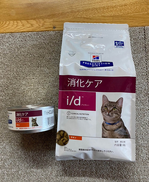 新潟　NDN保護　子猫　下痢2週間　おすすめのキャットフードは？