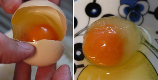 冷凍卵の作り方と解凍して食べるまで ためしてガッテン流 を実際にやってみた Haruの雑記 冷凍卵の作り方と解凍して食べるまで ためしてガッテン流 を実際にやってみた Haruの雑記
