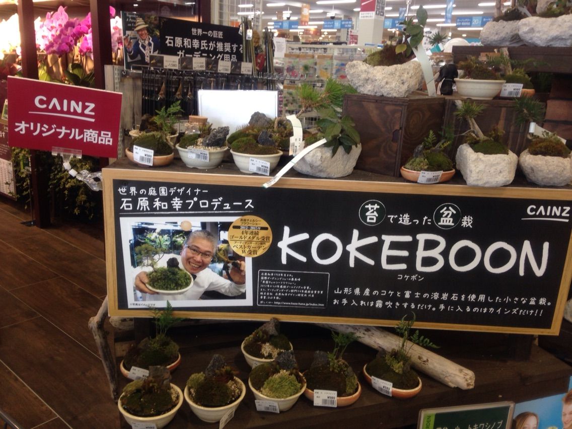 九州初上陸のカインズに行ってみました オリジナル商品の他に注目すべき３つの魅力 新宮 晴sun散歩 はるさんぽ