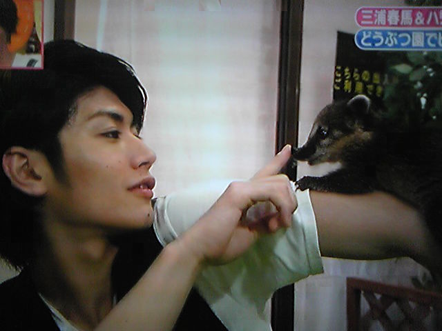 天才志村動物園＆さんまのまんま放映日♪ : ♪HARUMA缶♪