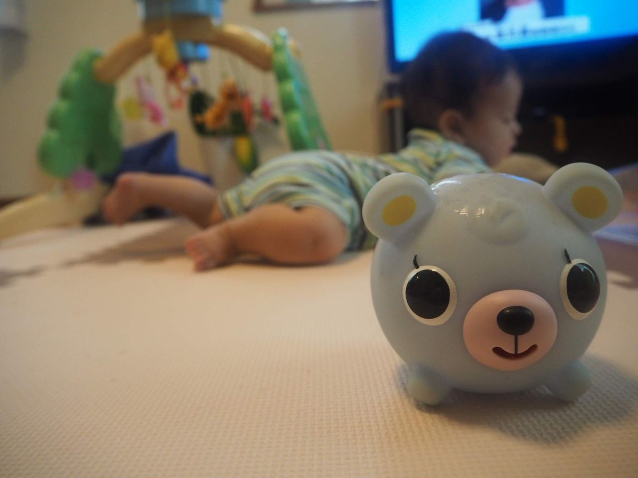 0歳児におすすめのおもちゃ おしゃべりどうぶつボール アキとナツとハル ときどき ユキ