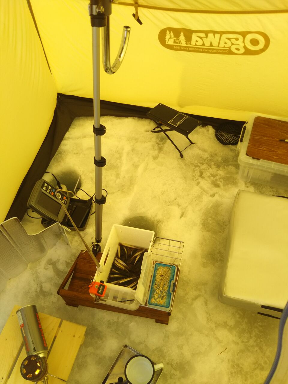 ワカサギ10戦 釣れたらいいね