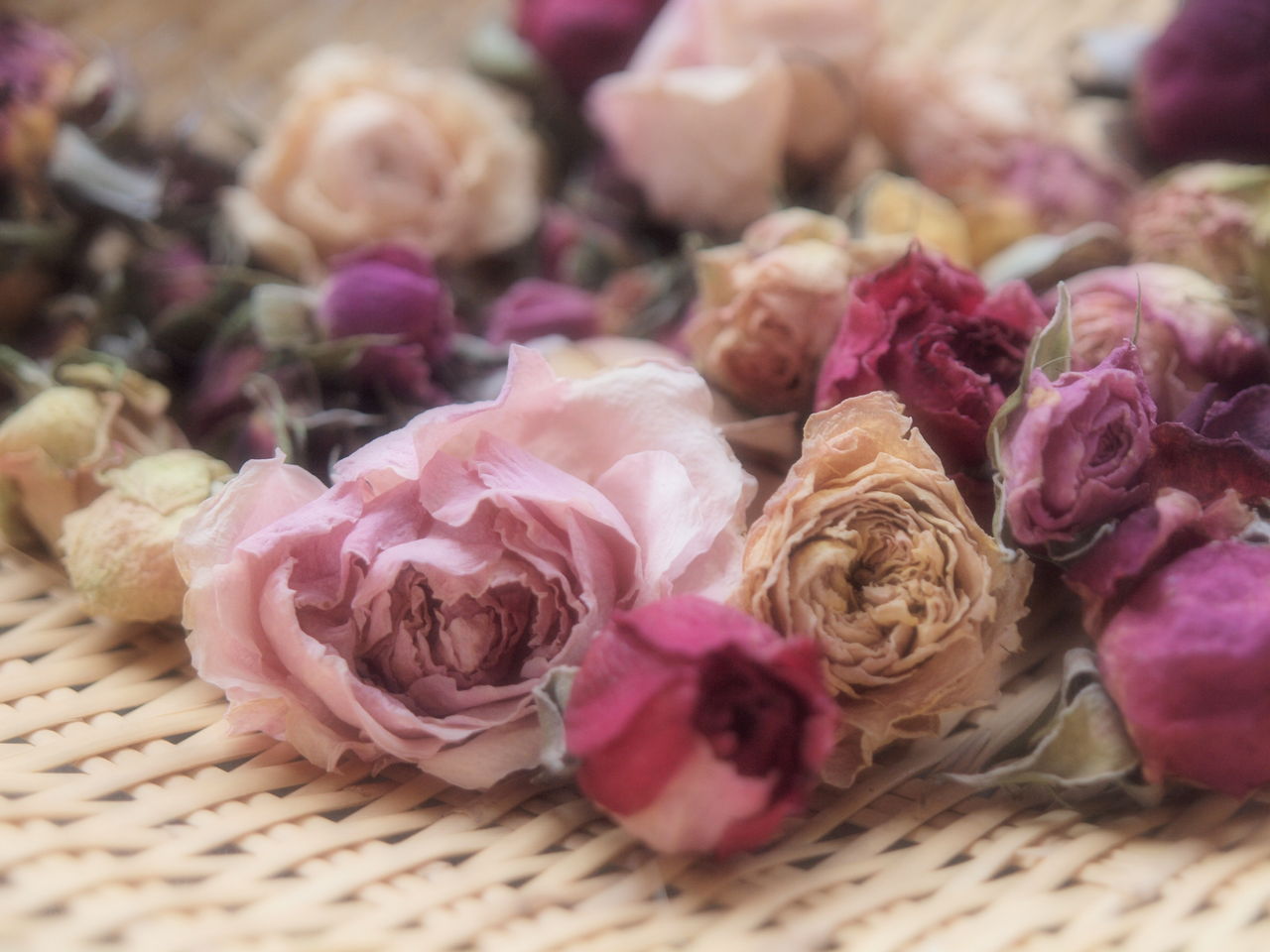 ザルを使ってバラをドライフラワーにしました にゃんと私の毎日がお楽しみ袋 ザルを使ってバラをドライフラワーにしました にゃんと私の毎日がお楽しみ袋