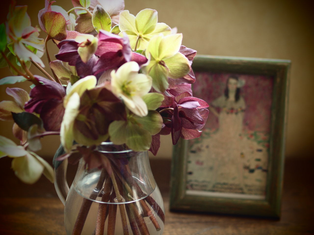 クリスマスローズを切り花で長持ちさせる方法 にゃんと私の毎日がお楽しみ袋