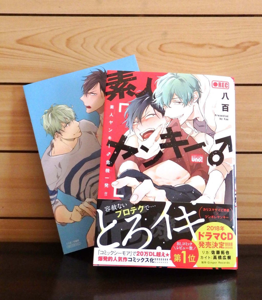 2018年 2月の到着便 その1 Bl本棚備忘録