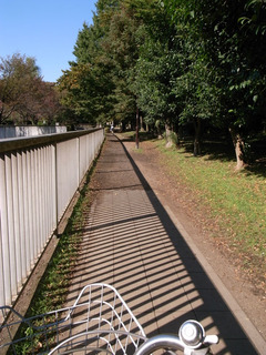 R1056650