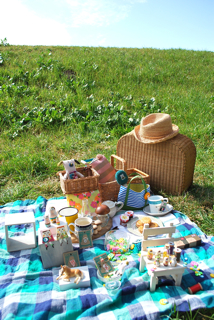 picnic