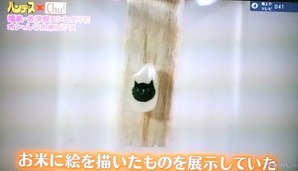 ピクチャ 12