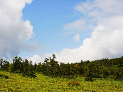 R3067224