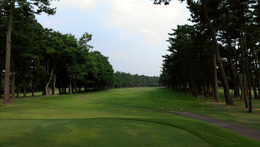 紫あやめ36EAST