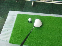 R11���Ǥ�