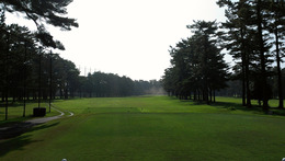 紫あやめ36(EAST) (5)