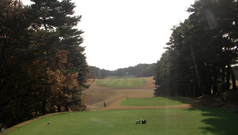 �⺬����ȥ꡼�����