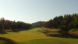 富岡CC(20111028) (3)