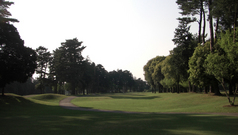 ��������ե����ε�����8�֥ۡ����