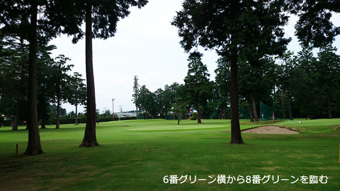 林間コース風の佇まいを魅せる芦刈ゴルフ