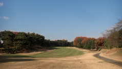 �⺬����ȥ꡼�����