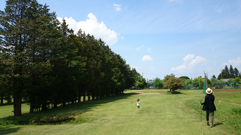 ジュンミニゴルフの風景