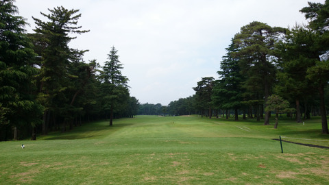 紫あやめ36EASTコース (3)