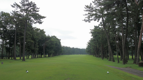 紫あやめ36EAST (4)