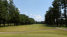 紫あやめ36 (2)