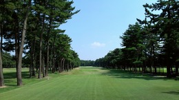 紫あやめ36EAST (3)