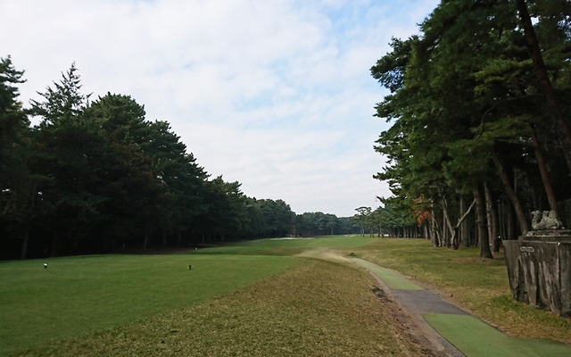 紫CCすみれ久しぶりのラウンド