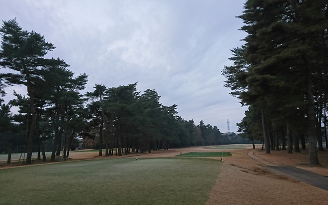紫あやめ36イーストコースの様子