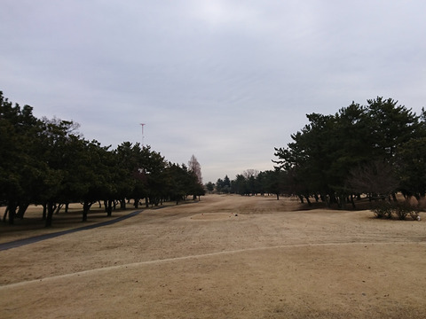浦和ゴルフ倶楽部はグリーンが凍っていた
