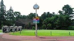 紫あやめ36 (2)