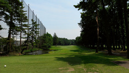 紫あやめ36EAST