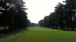 紫あやめ36EAST (1)