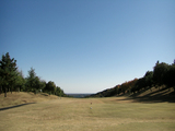ǽȥ꡼2008/11/22