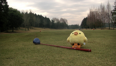 ��¤����ն����Ǳ�ڥ�����