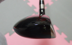 ROYAL COLLECTION TRC UT 2010