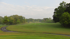 ���������饴��ե�󥯥�