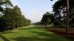 紫あやめ36(EAST) (3)