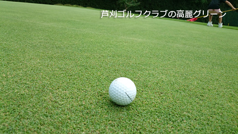 芦刈GCの綺麗な高麗グリーン