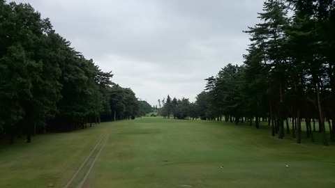 紫あやめ36WEST(2)