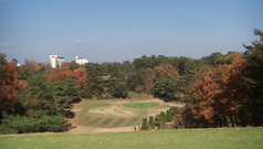 �⺬����ȥ꡼�����