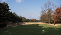 �⺬����ȥ꡼�����