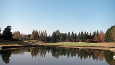 ��¤����ն������Ǳ�ڥ�����