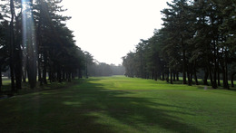 紫あやめ36(EAST) (4)