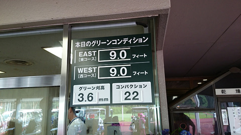紫あやめ36(2015年6月24日むらさきグリーン)