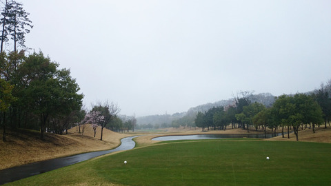 新武蔵丘ゴルフコースの写真