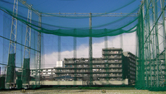 �ȥåץ���ե����ǥ�