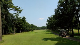紫あやめ36EAST (2)