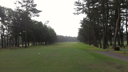 紫あやめ36(EAST) (2)