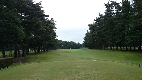 紫あやめ36WEST(1)