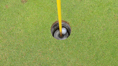 ���������饴��ե�󥯥�